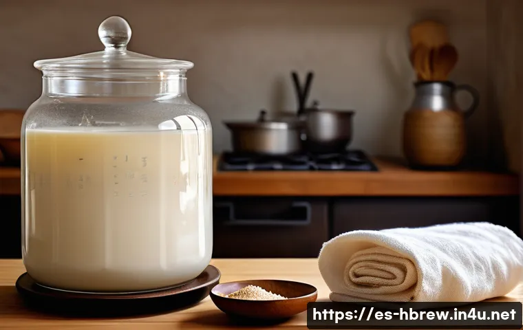 Descubre los secretos para fermentar tu propio makgeolli en casa y sorprende a todos con su sabor único 3 홈메이드 막걸리 발효 방법 관련 이미지 1