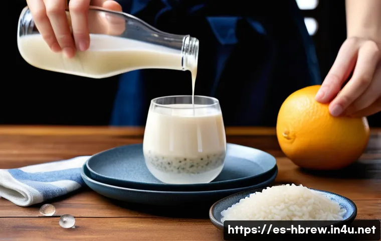 Descubre los secretos para fermentar tu propio makgeolli en casa y sorprende a todos con su sabor único 4 홈메이드 막걸리 발효 방법 관련 이미지 2